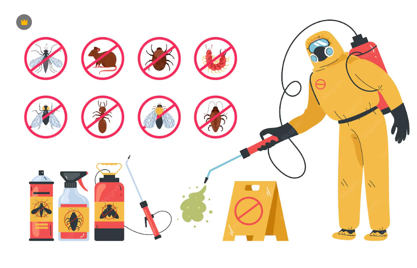 Termite Control Cost: Professional Treatment Guide