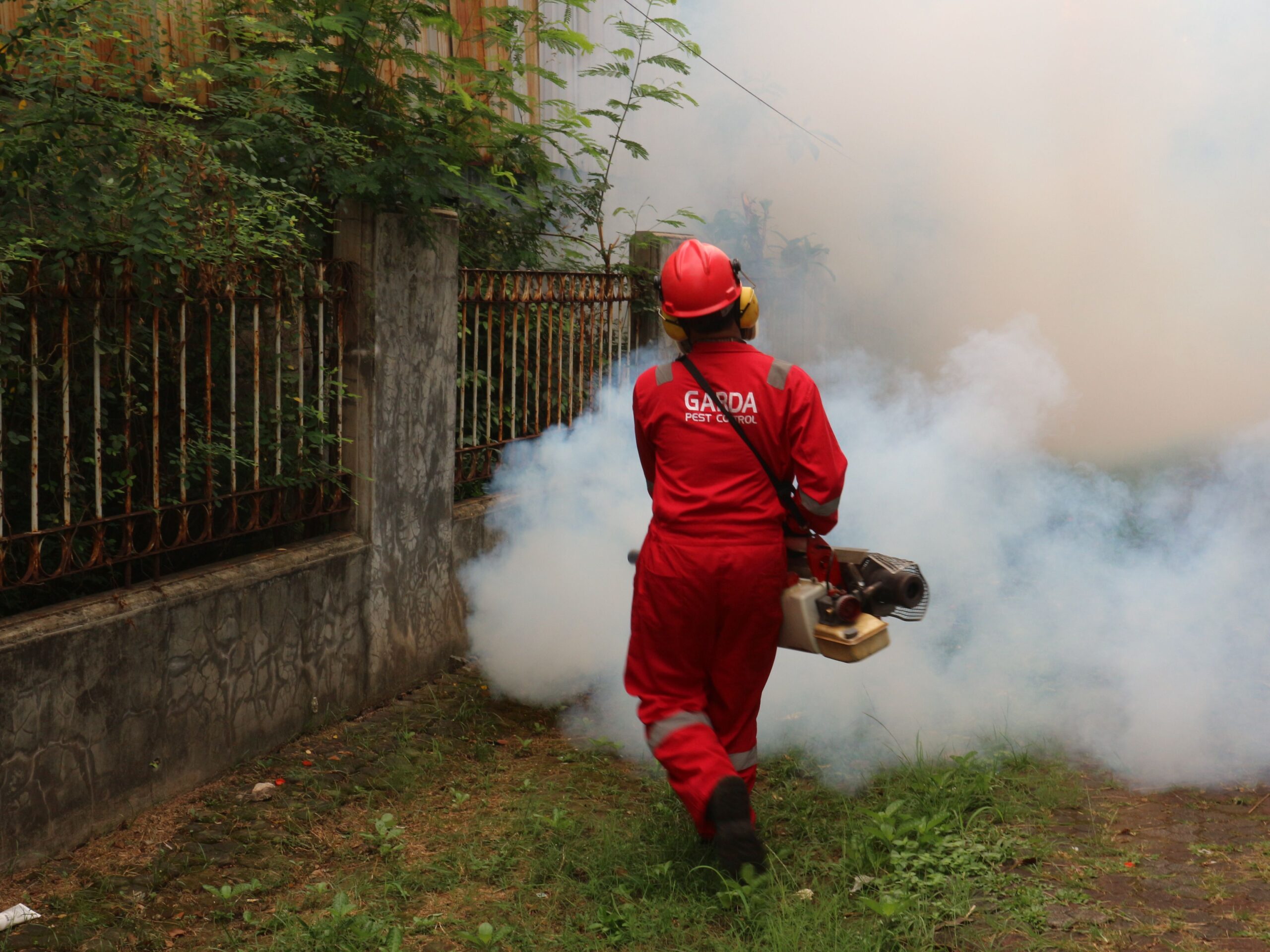 Pest Control Services: Cost, Treatment & Prevention Guide
