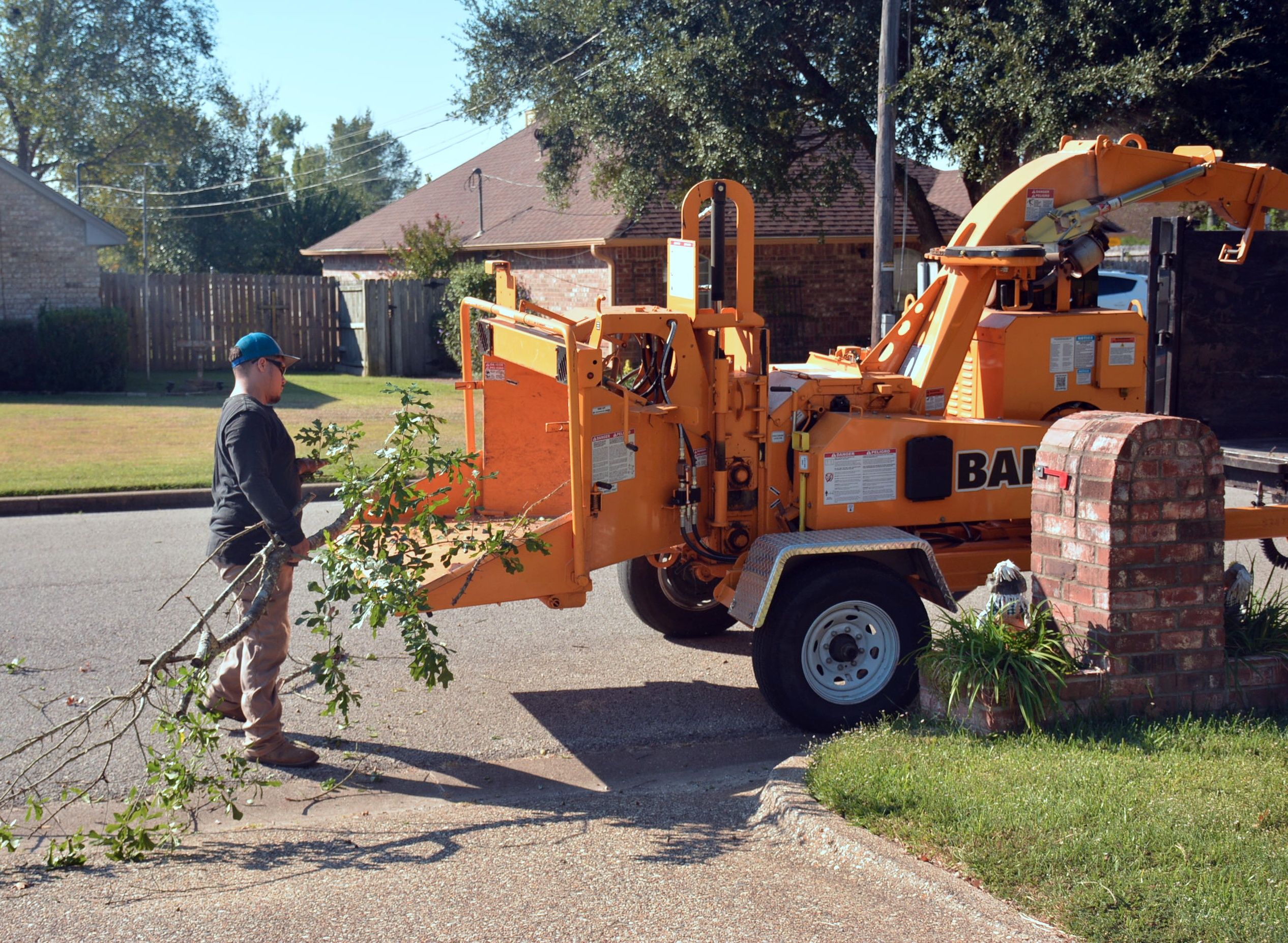 Tree Removal Cost: Professional Service & Safety Guide