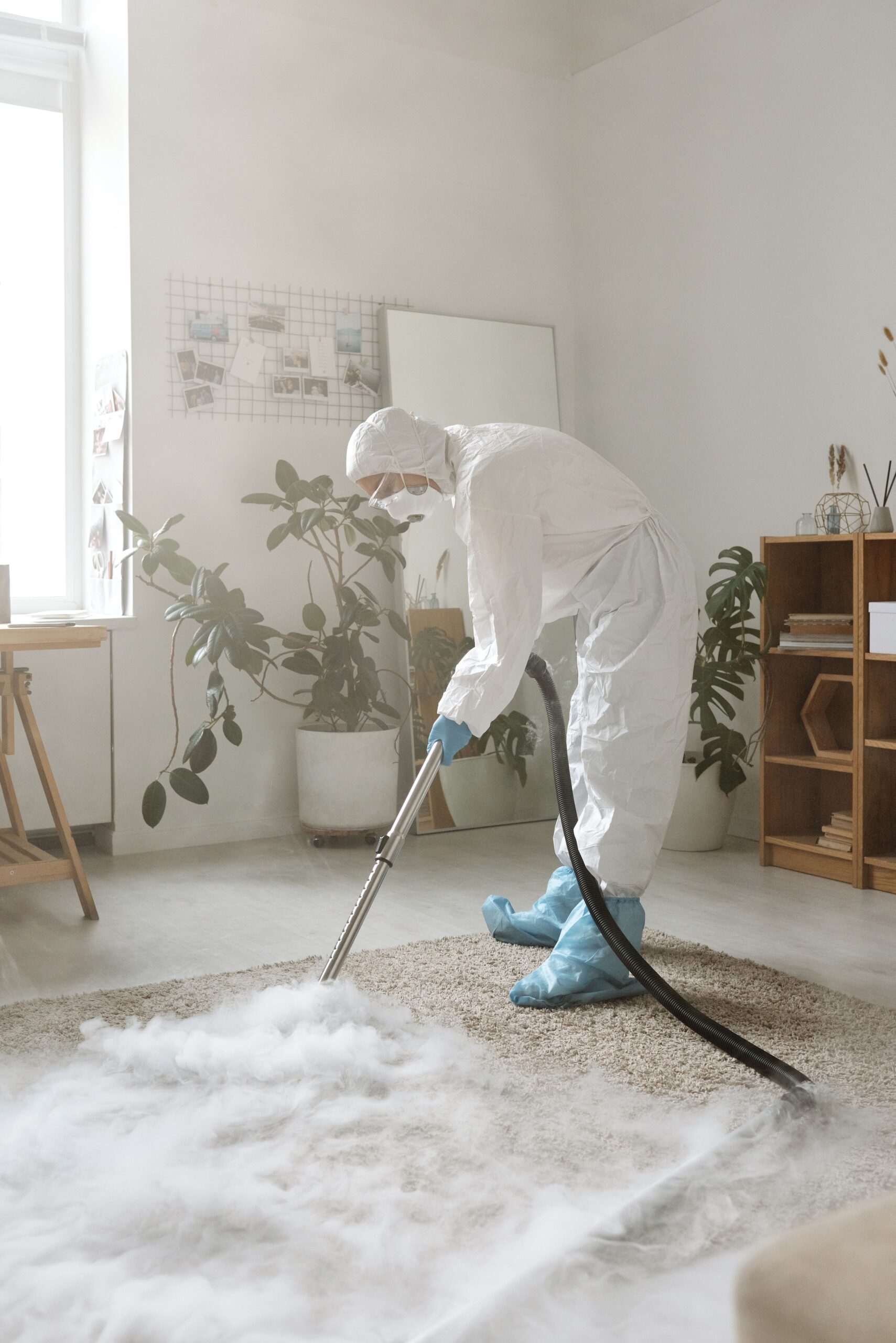 Carpet Cleaning Services: Cost & Professional Cleaning Tips