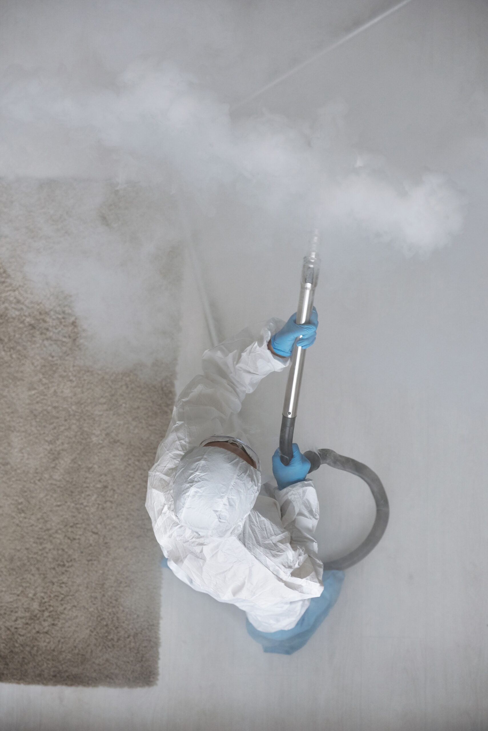 Mold Removal Services: Cost, Process & Prevention